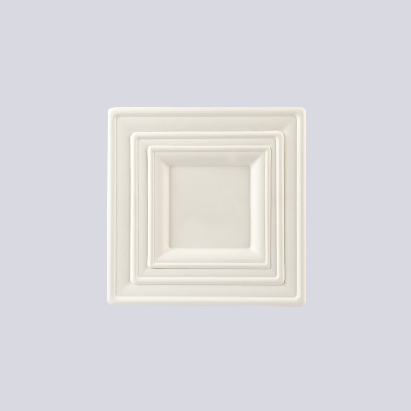 성형 섬유판 및 컵 트레이